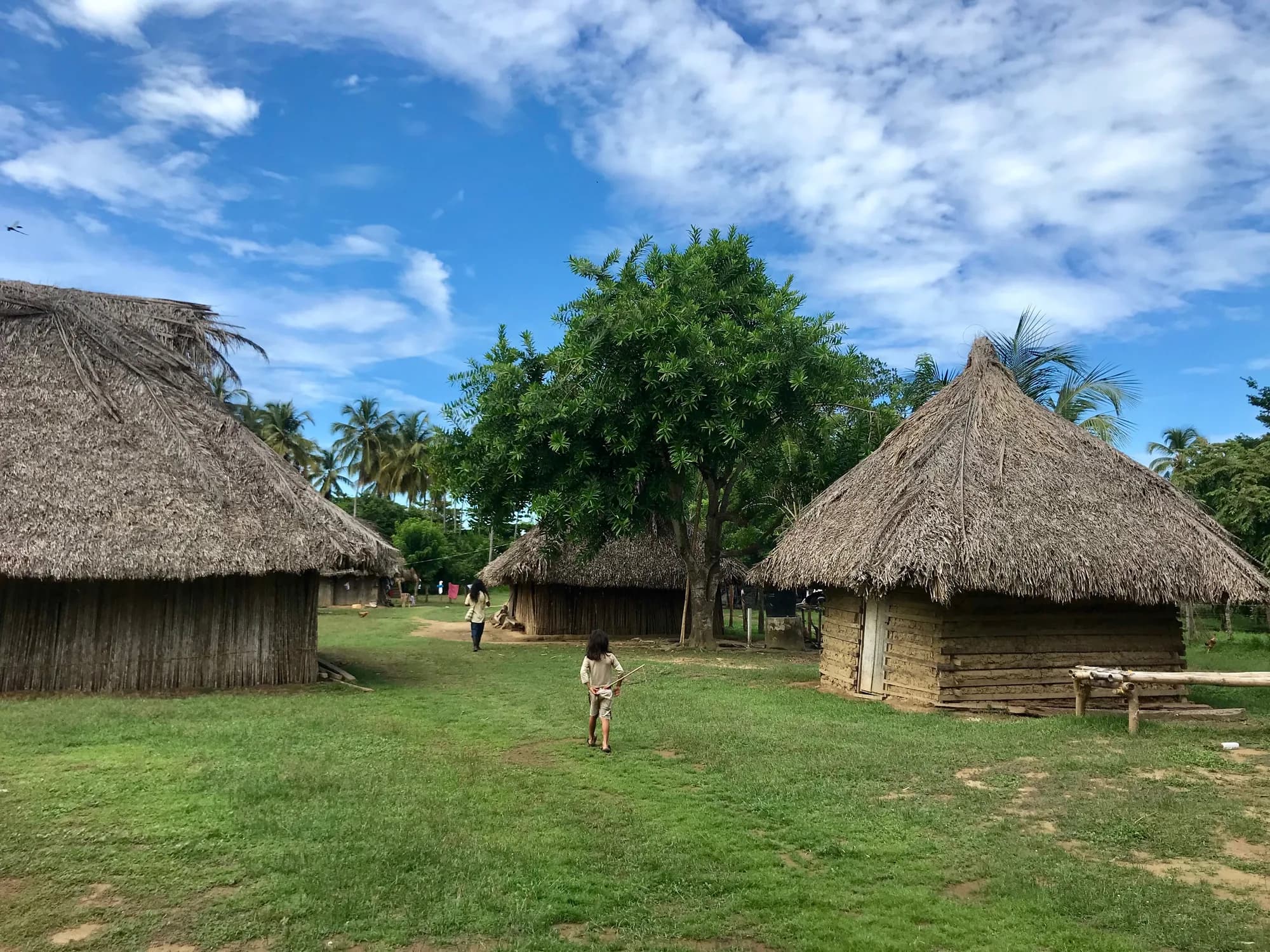 Viviendas tradicionales Arhuacas entre árboles