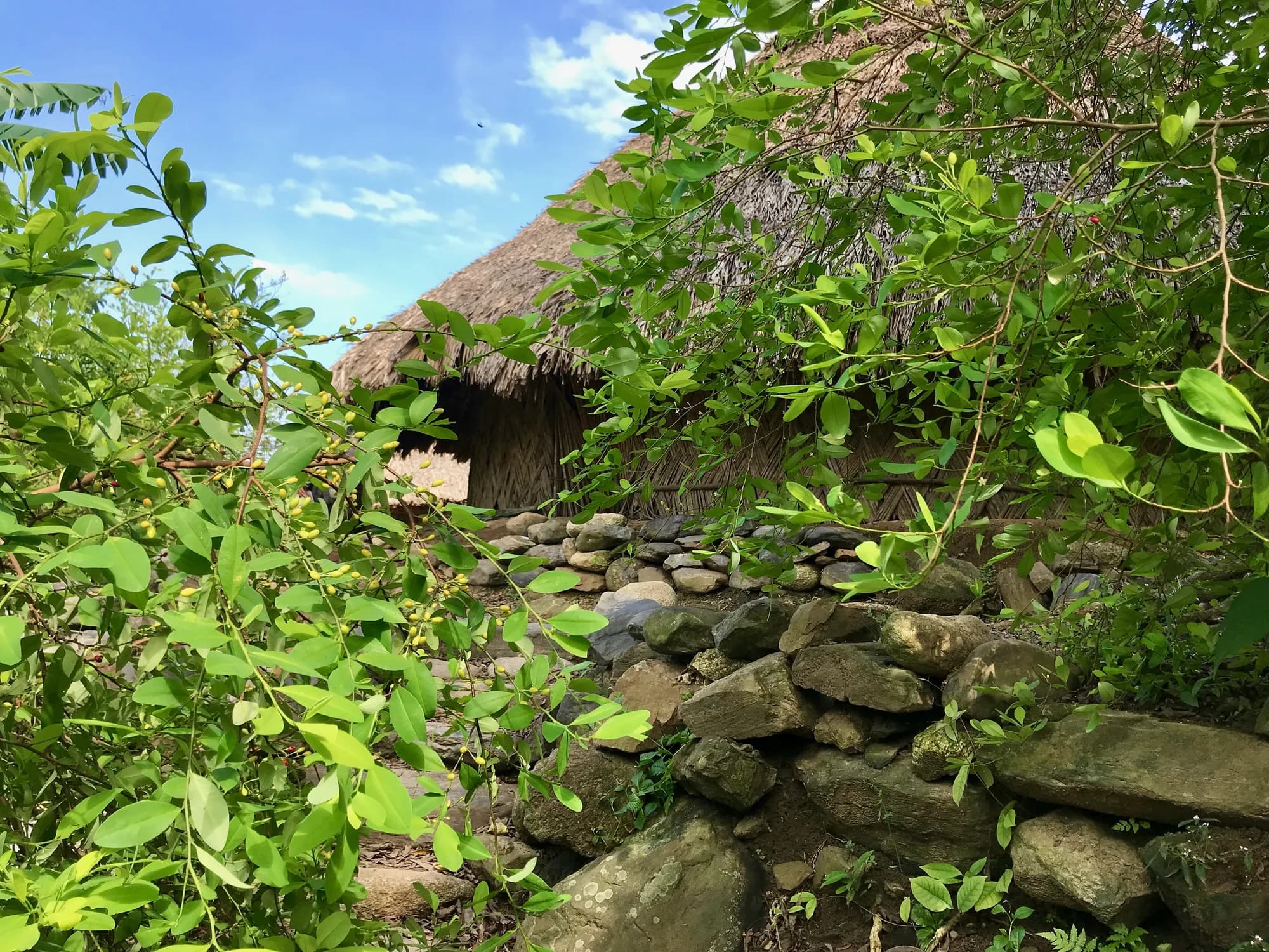 Terrazas de piedra y arquitectura tradicional Kogui