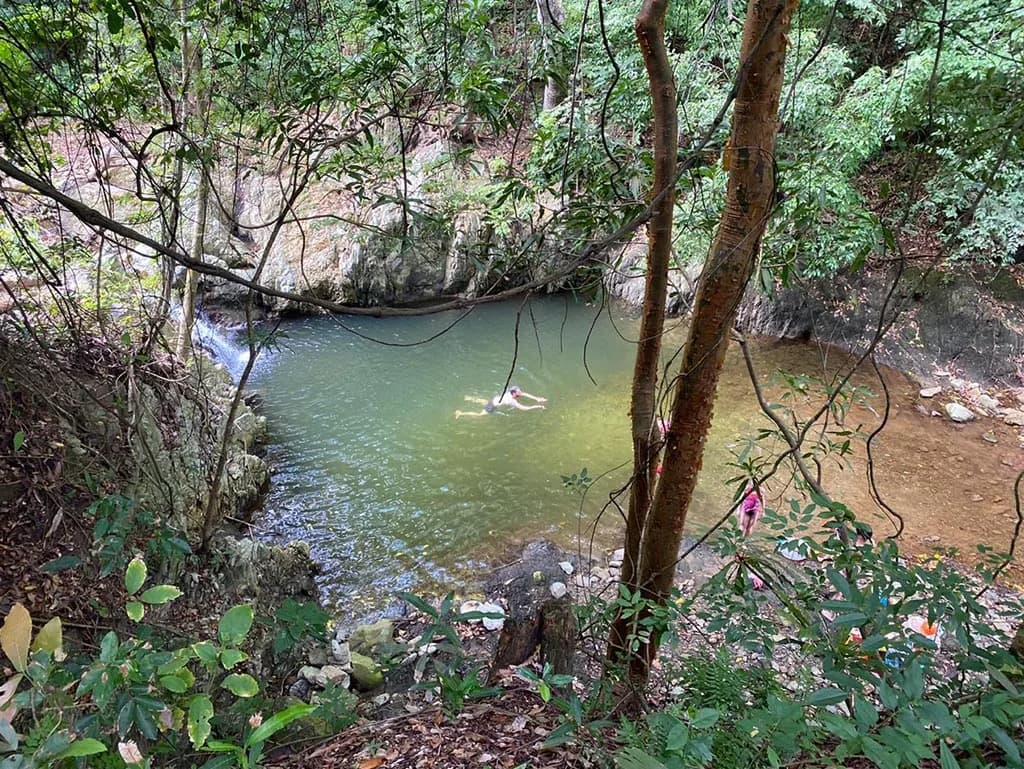 Piscina natural de la quebrada Jorará, rodeada de bosque
