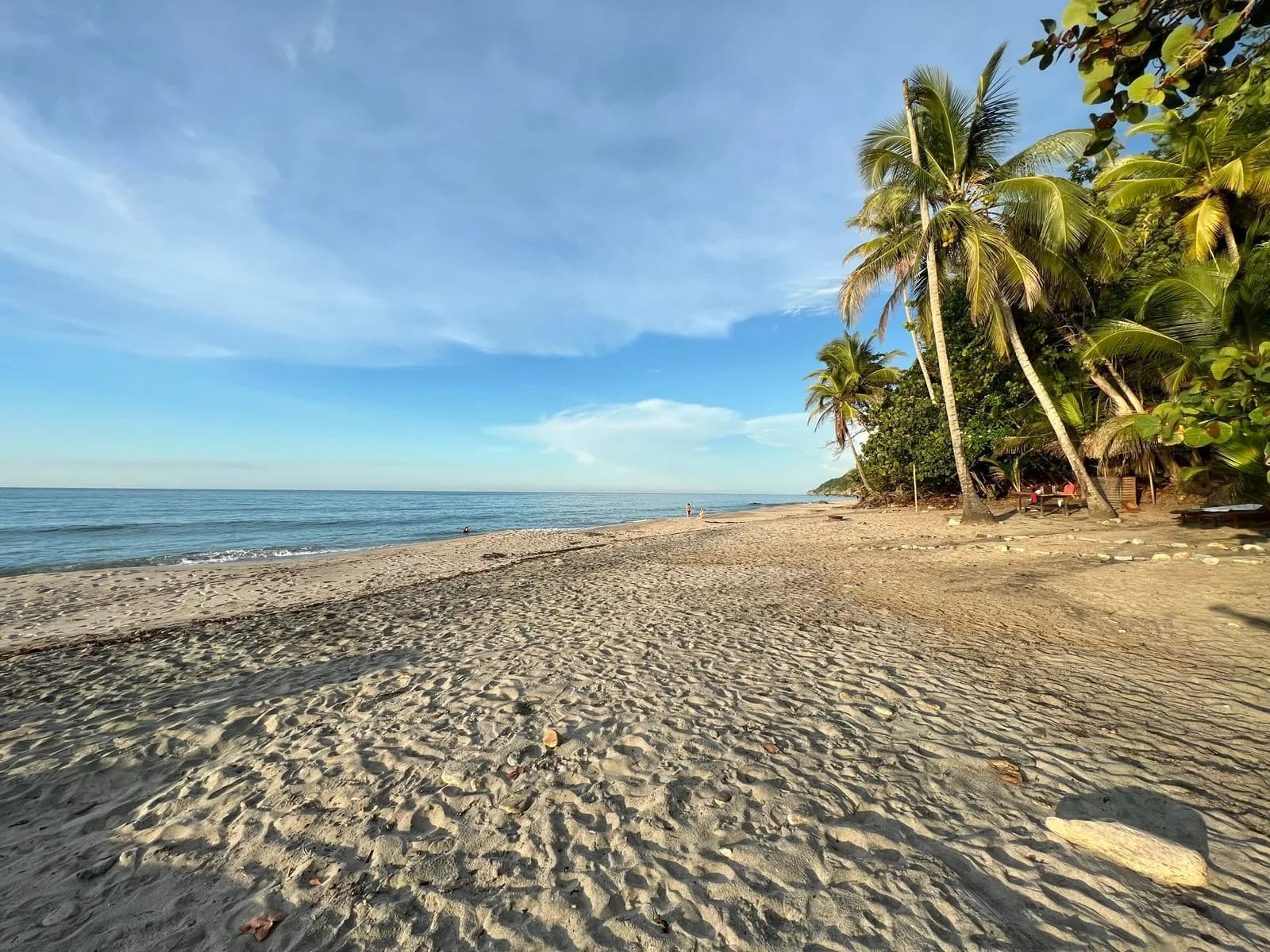 Playa de arena blanca y palmeras en la Finca La Jorará