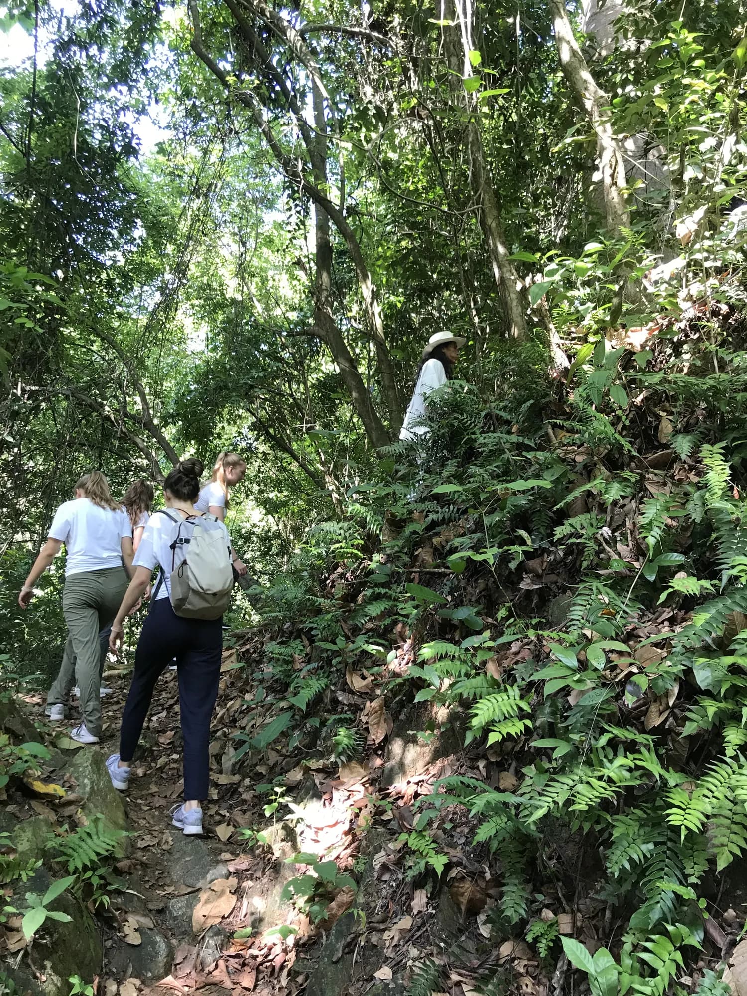 Caminantes por el sendero de selva hacia Ciudad Perdida